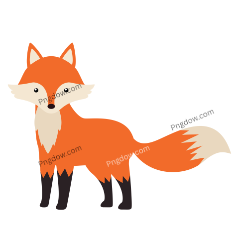 Fox Png image with transparent background, Fox, (23)