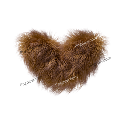 Fur Png image with transparent background, Fur, (21)