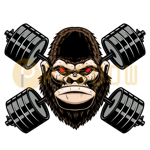 Gorilla with crossed gym barbells  Design element for logo, emblem, sign, poster, t shirt  Vector illustration