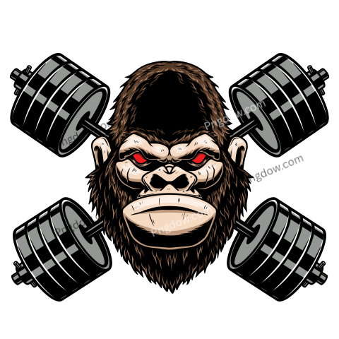 Gorilla with crossed gym barbells  Design element for logo, emblem, sign, poster, t shirt  Vector illustration