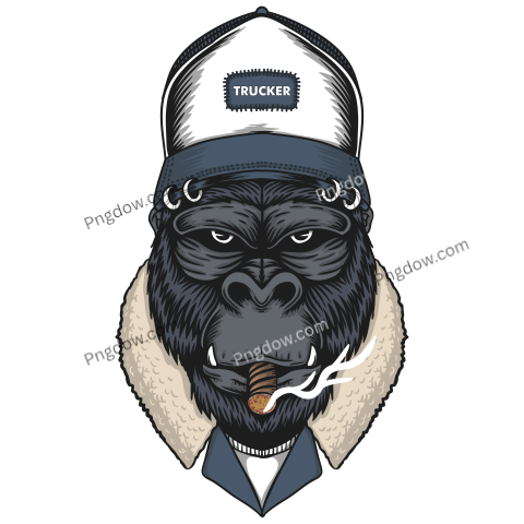 Gorilla head trucker vector illustration