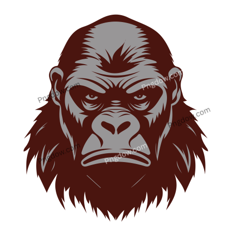 Cartoon vector gorilla animal transparent background image for Free (3)