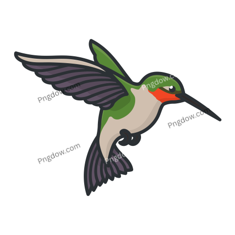 Ruby Throated Hummingbird Animal