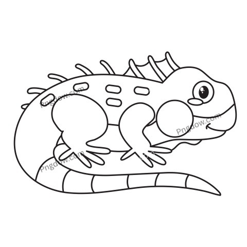 Iguana Line Art Drawing transparent Background for free