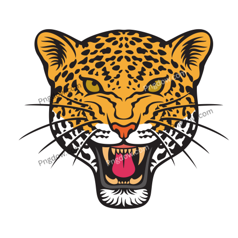 Jaguar png transparent Background image free, (3)