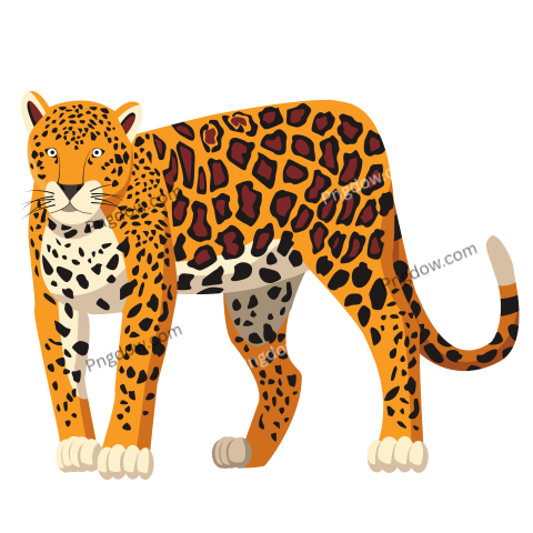 Jaguar png transparent Background image free, (28)