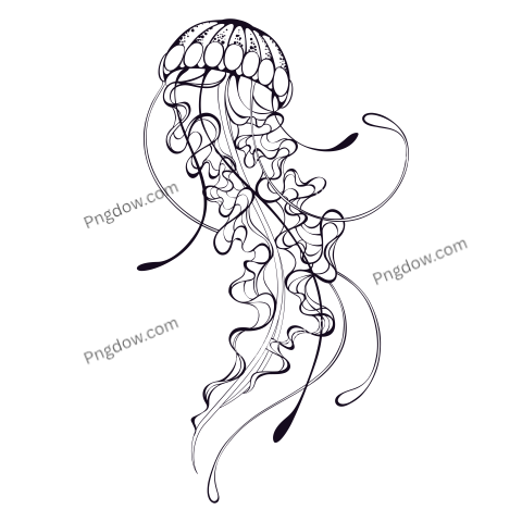 Jellyfish Png transparent Background for free (6)