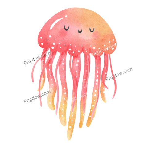 Jellyfish Png transparent Background for free (16)