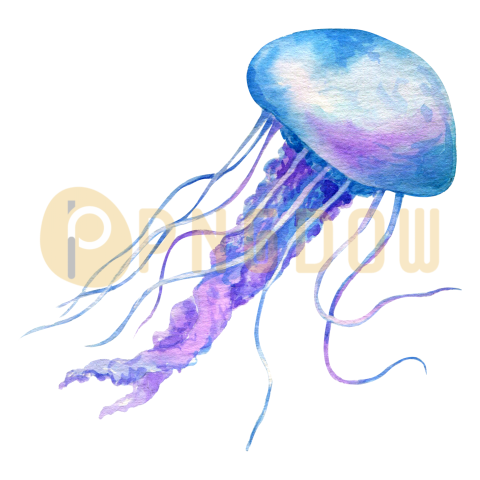 Jellyfish Png transparent Background for free (12)