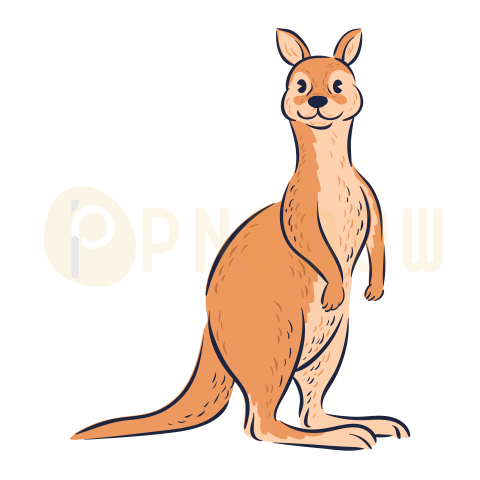 Kangaroo Png transparent Background image for Free (16)
