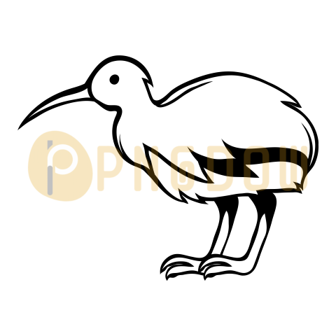 Black and White Bird Kiwi, transparent Background free