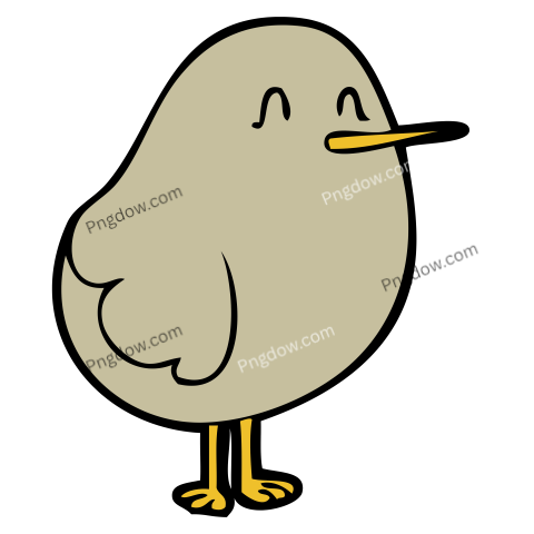 Kiwi bird Png transparent Background image free, (23)