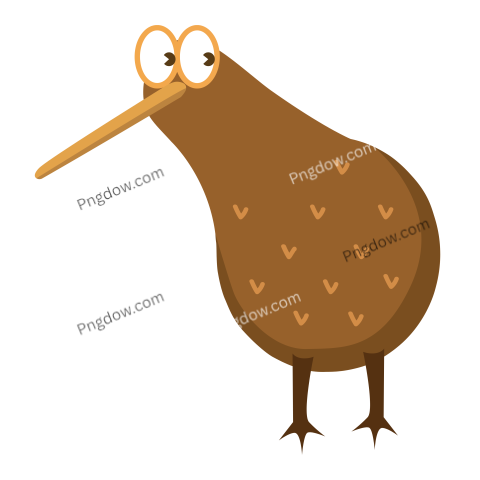 Kiwi bird Png transparent Background image free, (33)