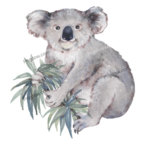 Download Free Transparent Koala PNG Image with a Background Removal, (75)