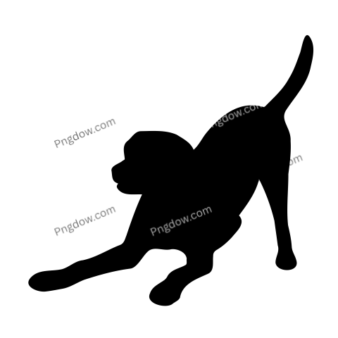 Labrador Retriever Silhouette, transparent Background