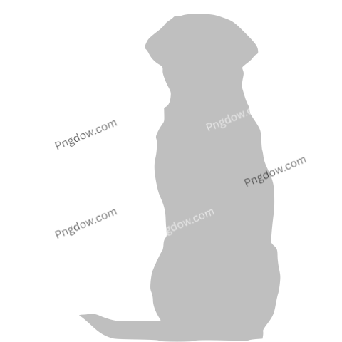 Labrador Retriever Dog Silhouette, transparent Background
