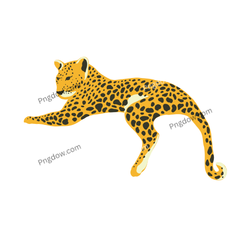 Jungle leopard, transparent Background image free