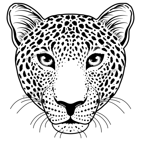 Leopard Face Illustration, transparent Background image free