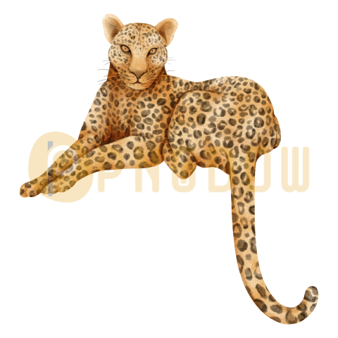 Leopard wildlife animals watercolor illustration