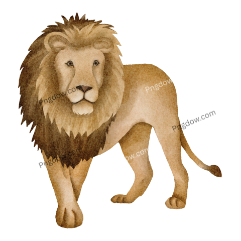 Watercolor lion, Png for free