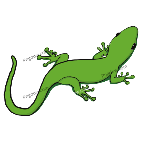 Gecko, transparent Background for free
