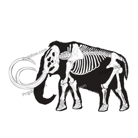 Mammoth Png transparent Background, free illustration, (25)