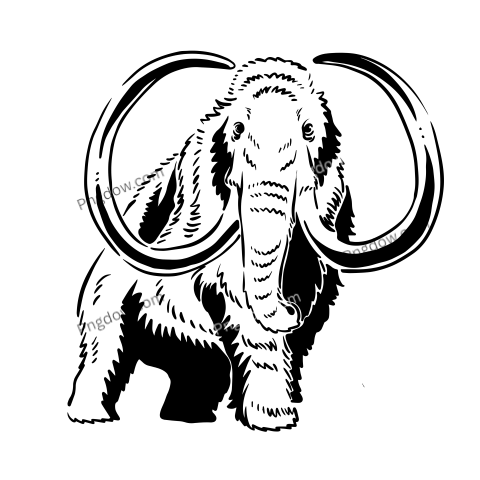 Mammoth Png transparent Background, free illustration, (30)