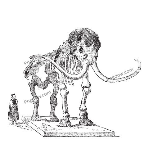 Mammoth Png transparent Background, free illustration, (38)