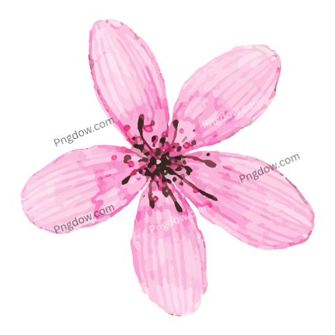 Hand Painted Pastel Pink Watercolor Flower
