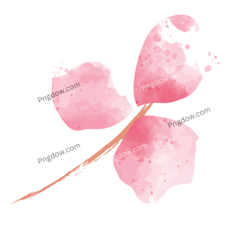 Pink Watercolor Flower Illustration, transparent background