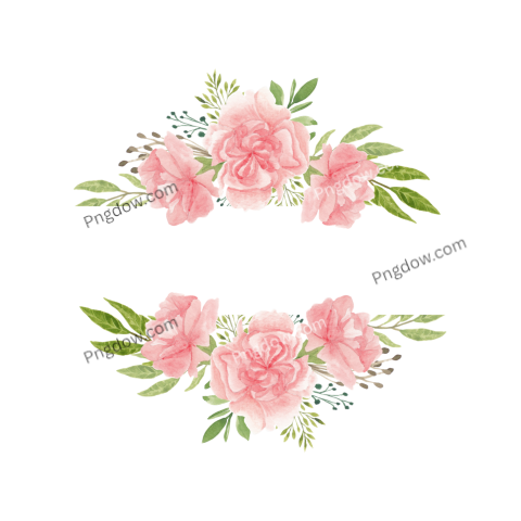 Watercolor Pink Carnation Flowers PNG Image free