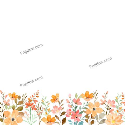 Vector collection of herry watercolor flowers and transparent background in png, (178)