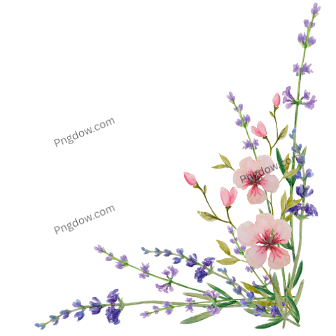 Vector collection of herry watercolor flowers and transparent background in png, (182)