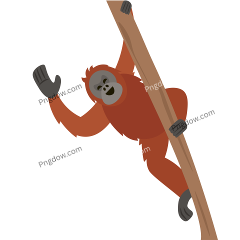 Orang Utan Character 11