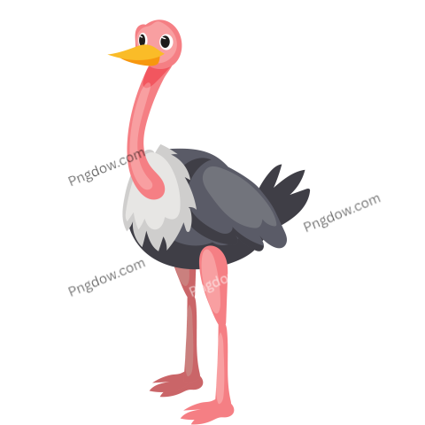 Cartoon Ostrich Animal transparent background