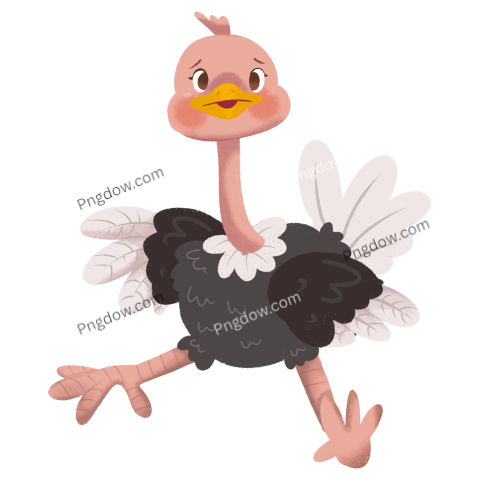 Little ostrich illustration transparent background