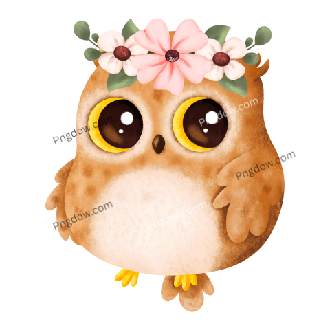 Cute Baby Owl transparent background