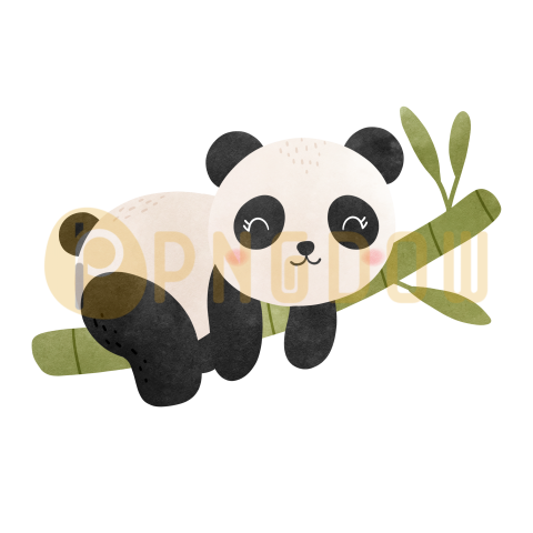 Cute panda transparent background, Free