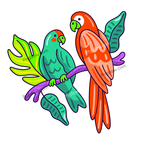 Nature parrots transparent background