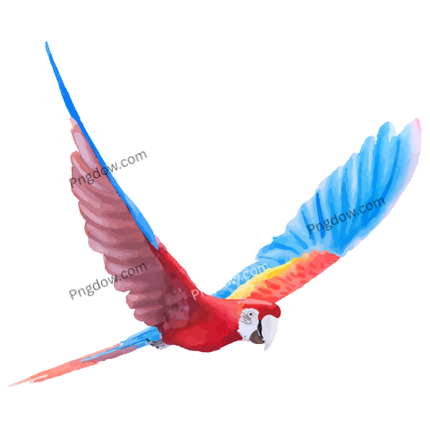 Parrot Macaw Watercolor png