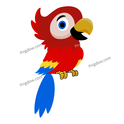 Cute Parrot transparent background