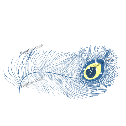 Peacock Feathers, Flat Style Straight and Curved Blue Colored Feathers of Exotic Birds