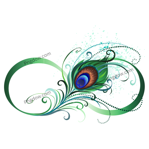 Infinity Symbol with Peacock Feather