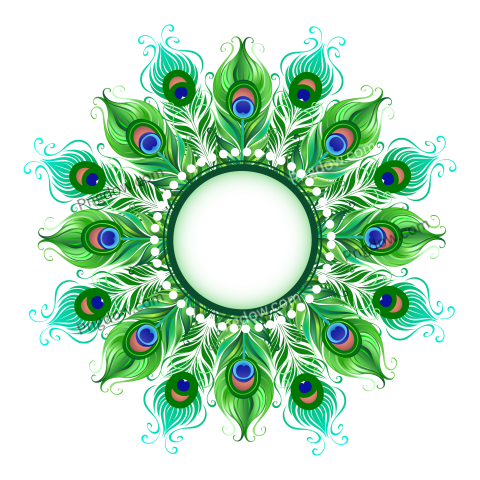 Mandala of Green Peacock Feathers