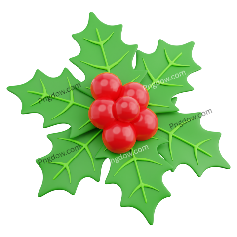 3D Christmas Mistletoe Illustration