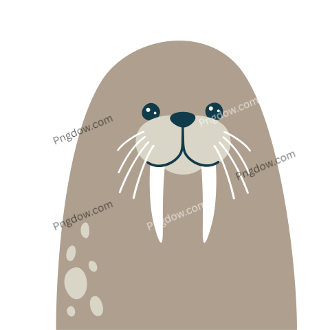 Walrus transparent background free download