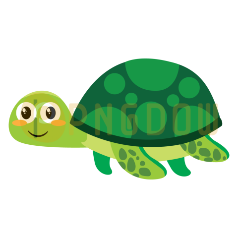 Green Turtle Illustration