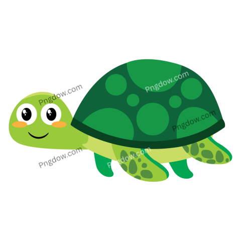 Green Turtle Illustration