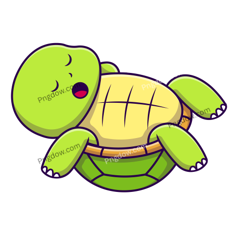 Cute Turtle Sleeping Cartoon