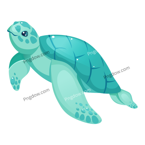 Sea turtle transparent background